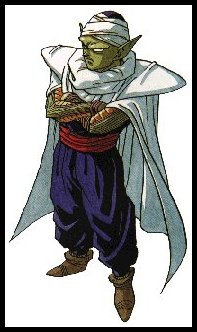 piccolo2.jpg